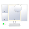 Vanity Magnified Mirror with 3 Color And Lighted Magnified Mirror